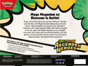 P11436_ME02pt5_3D_Mega_ex_Box_MMeganium_Back_INT_EN-1400x1052-0a844e4-0x400-ffffff.png
